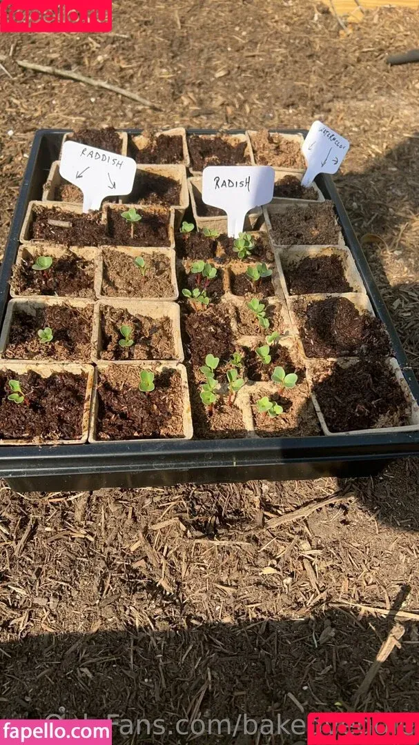 baked_veggie / bakedveggie Onlyfans Photo Gallery 