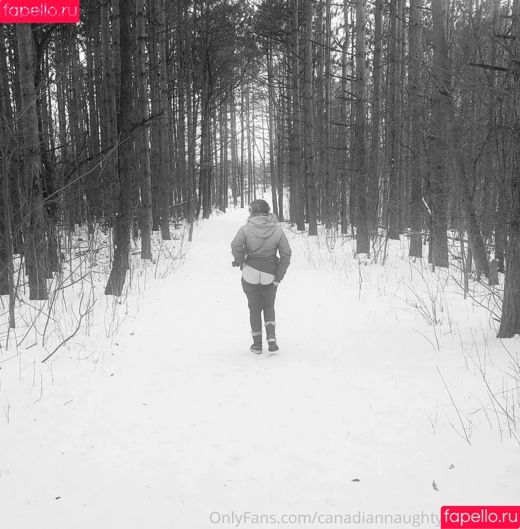 canadiancookingadventures / canadiannaughtyneighbour Onlyfans Photo Gallery 