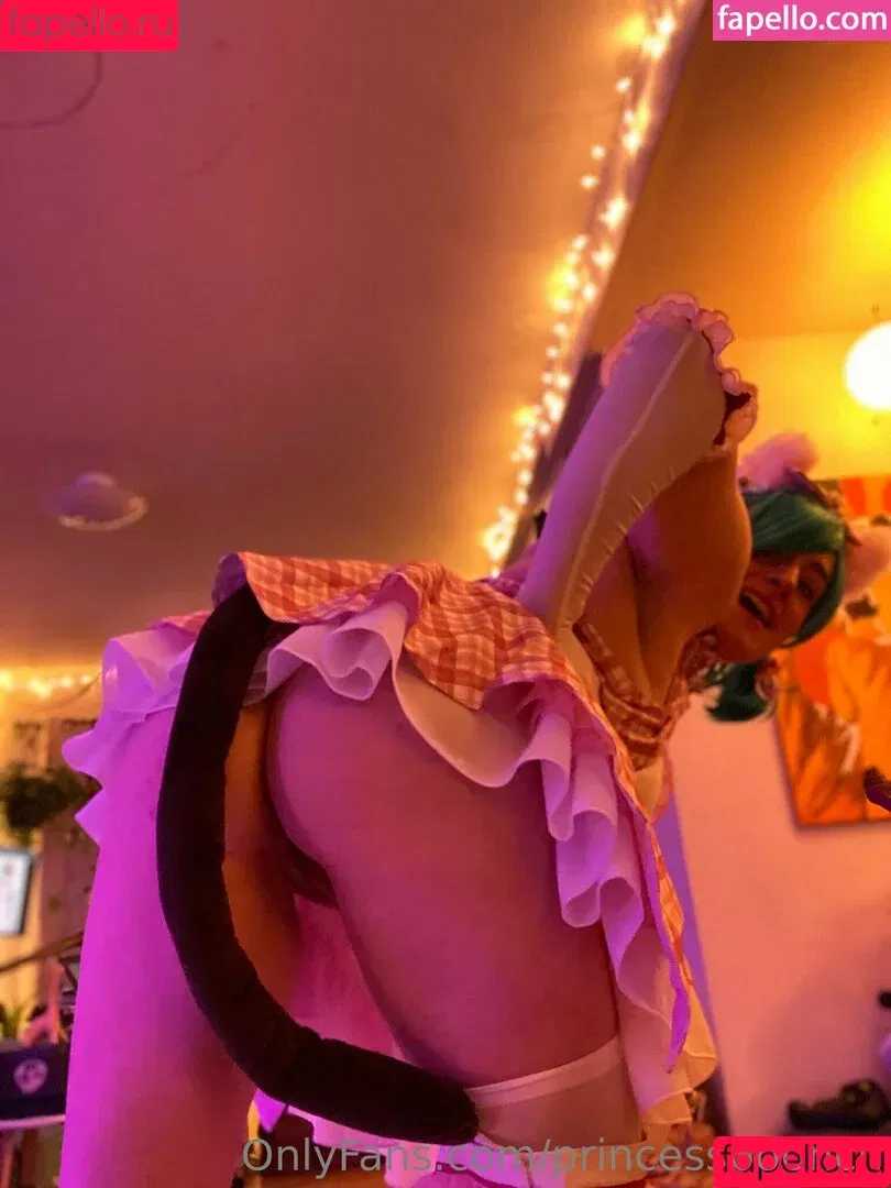 princesspoonch Onlyfans Photo Gallery 