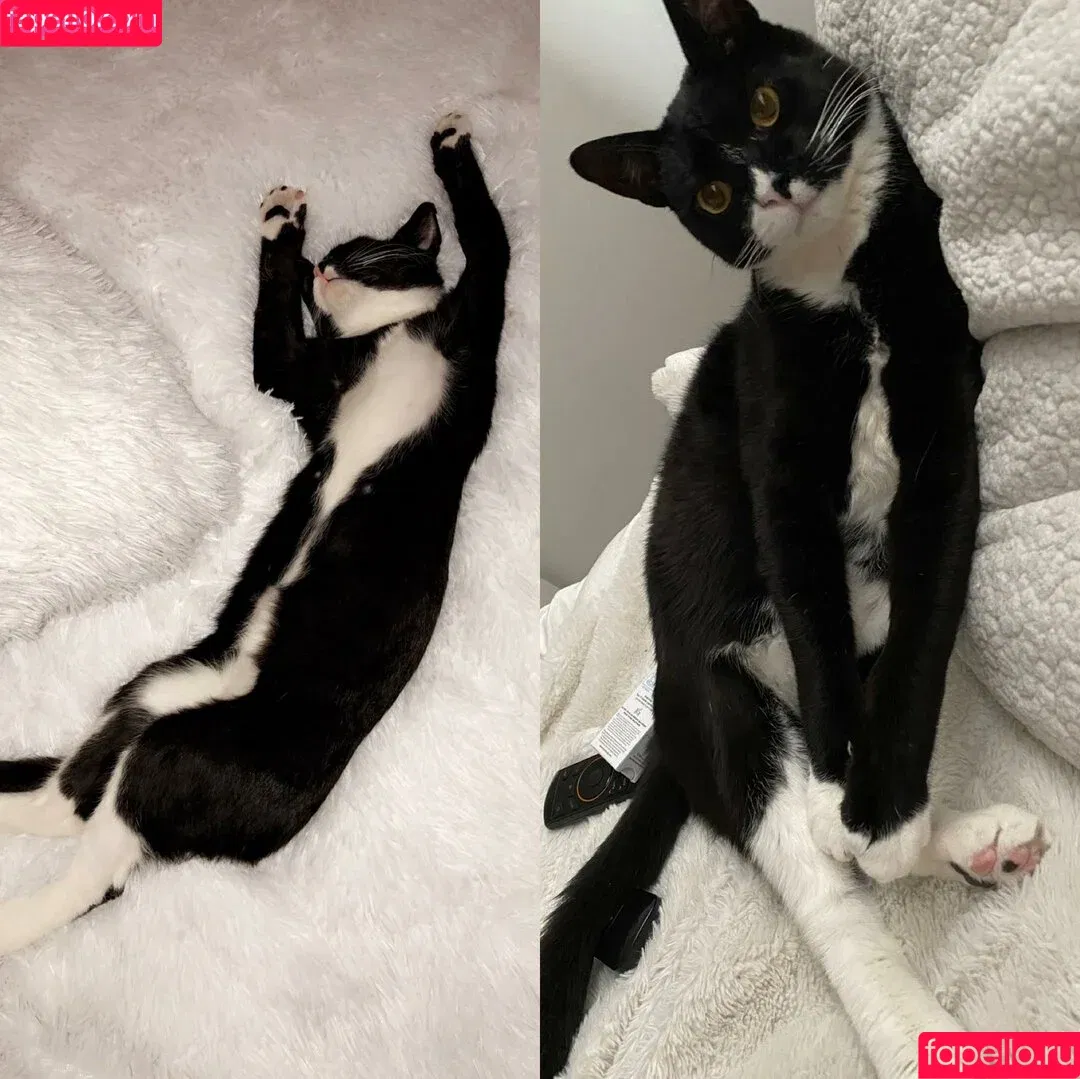 Princess Mary / maryyberrymentoss / princesslilmary Onlyfans Photo Gallery 