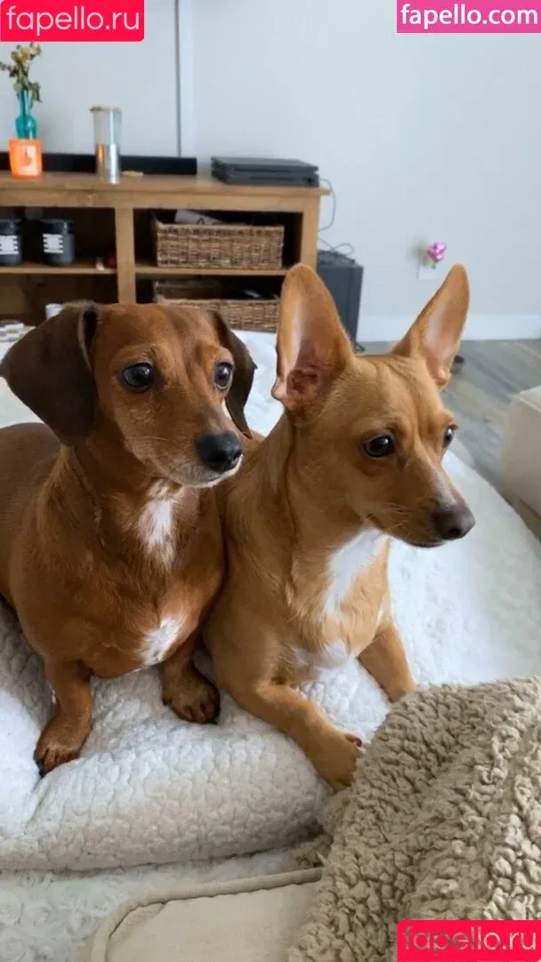 Princess Mary / maryyberrymentoss / princesslilmary Onlyfans Photo Gallery 