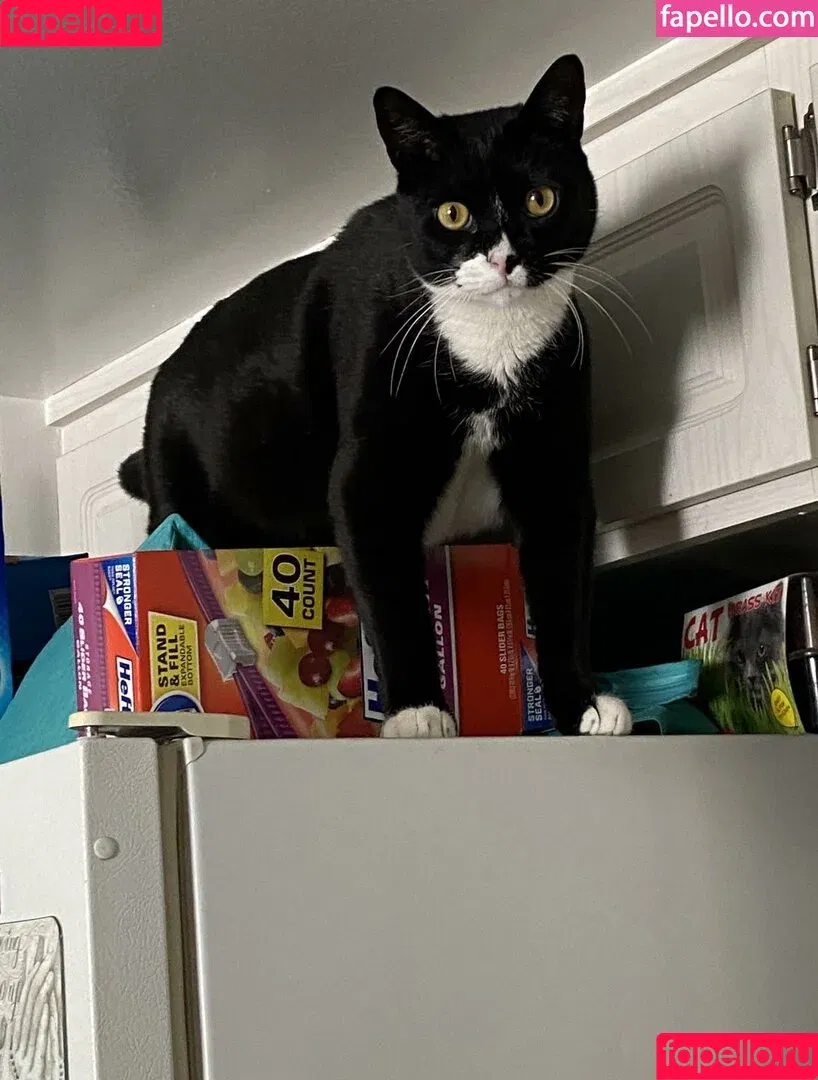 Princess Mary / maryyberrymentoss / princesslilmary Onlyfans Photo Gallery 