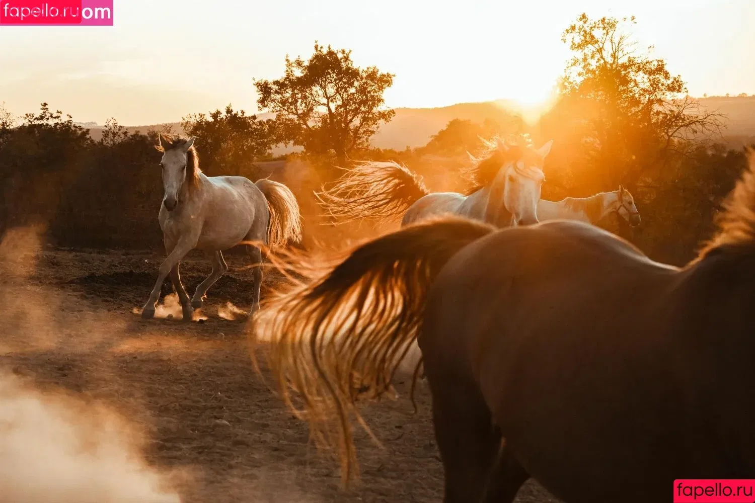 Mich Hoek Onlyfans Photo Gallery 