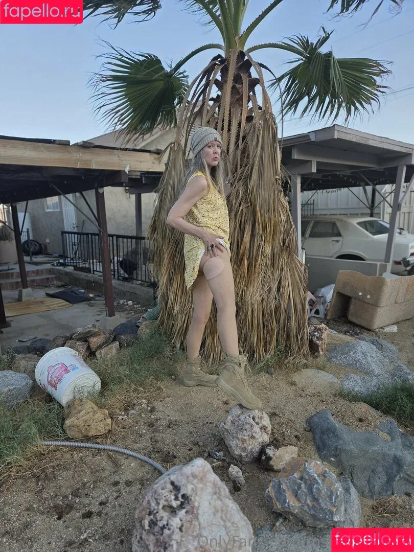 msjamiefoster Onlyfans Photo Gallery 