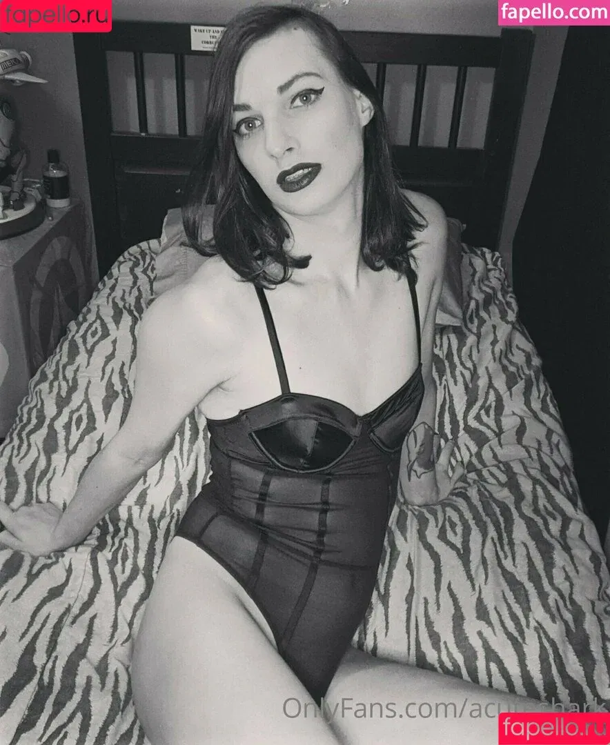 acuteshark / nextshark Onlyfans Photo Gallery 