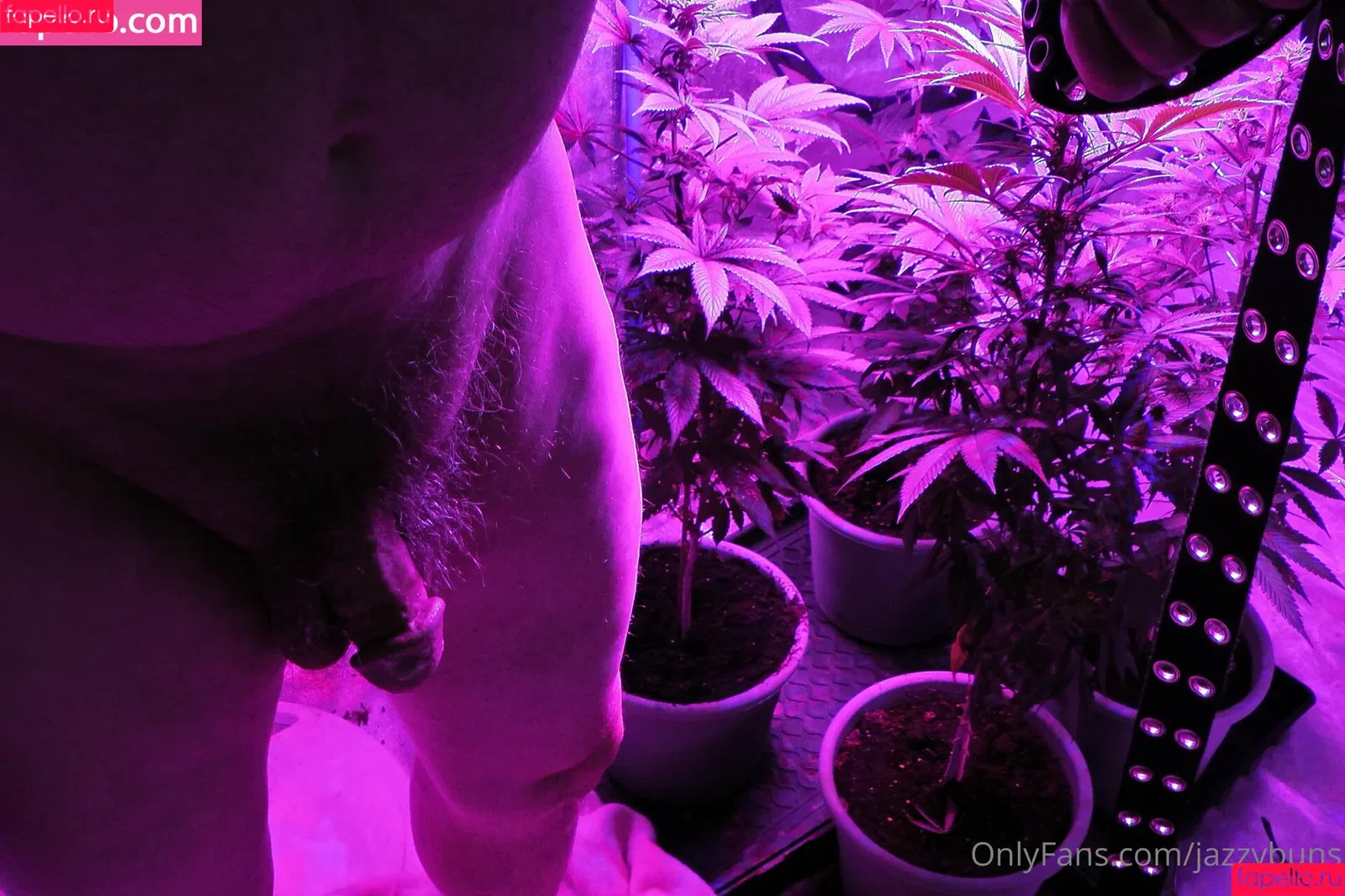 jazzybun_ / jazzybuns Onlyfans Photo Gallery 