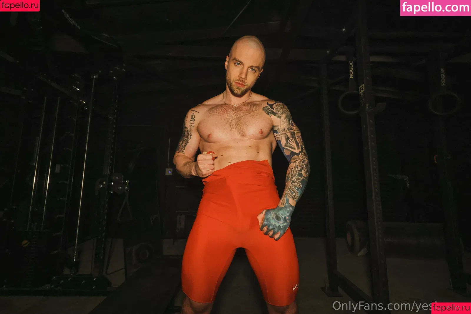 yesbrawn / yesbrawnx Onlyfans Photo Gallery 