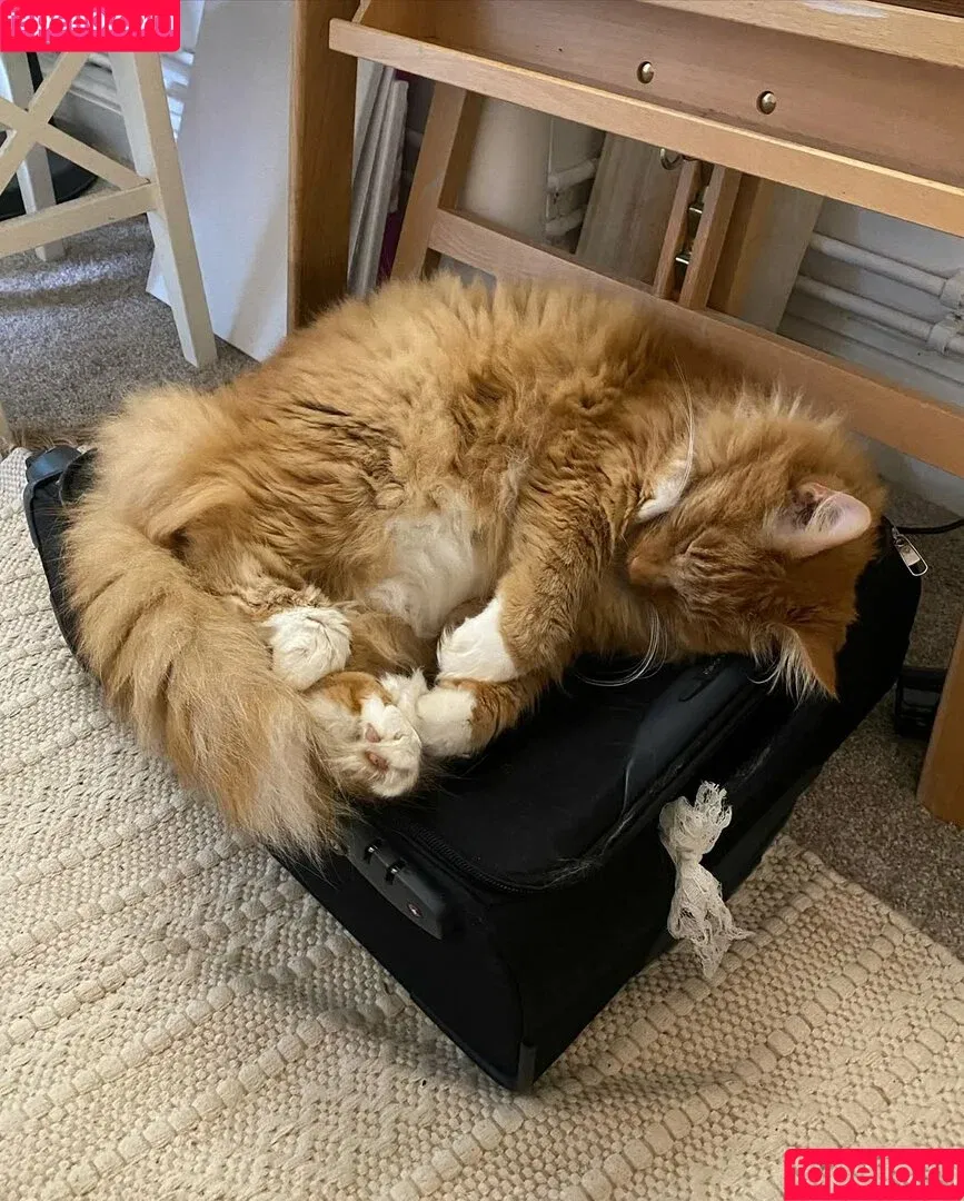 Lily / https: / lilypi / lilypi34 Onlyfans Photo Gallery 