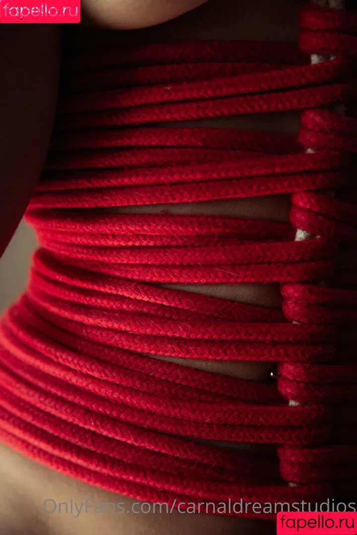 carnaldreamstudios / viciousjules Onlyfans Photo Gallery 