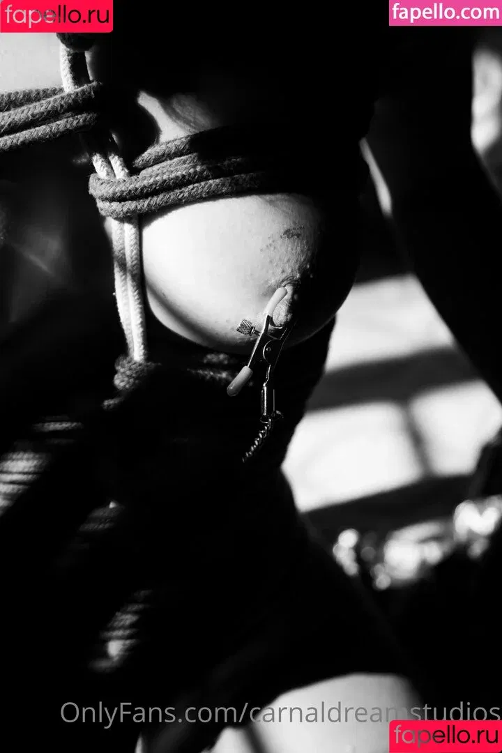 carnaldreamstudios / viciousjules Onlyfans Photo Gallery 