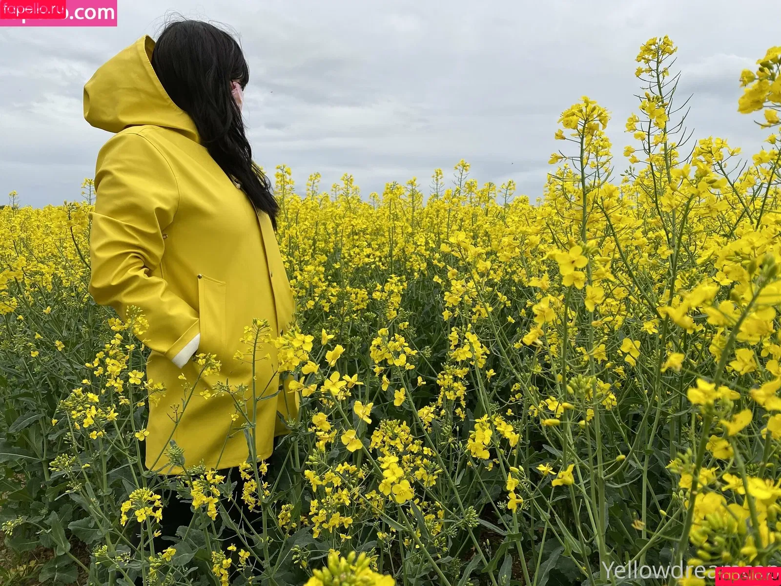 yellowdreamcap / yellowdreamcap_xx Onlyfans Photo Gallery 