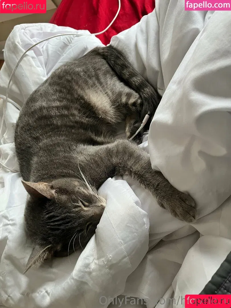 holyheck / holyheckusa Onlyfans Photo Gallery 