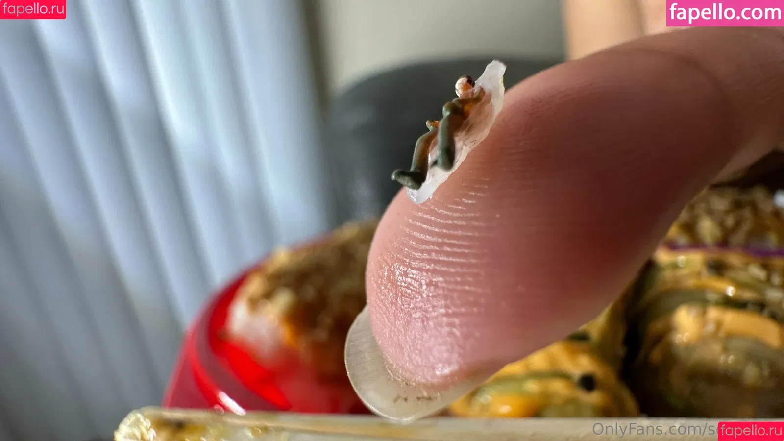 ciruletilla_alcoy / solecirilla Onlyfans Photo Gallery 