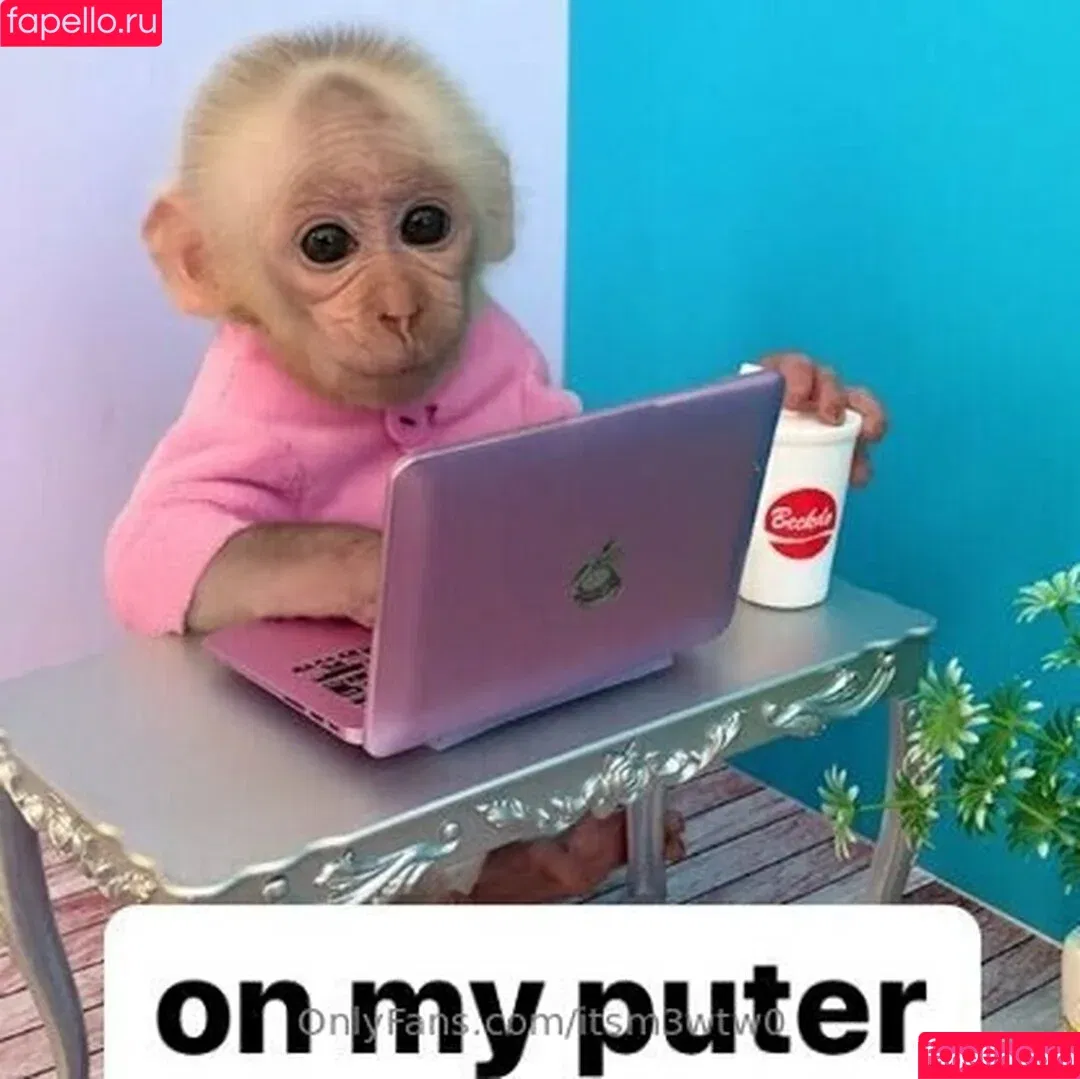 itsm3wtw0 Onlyfans Photo Gallery 