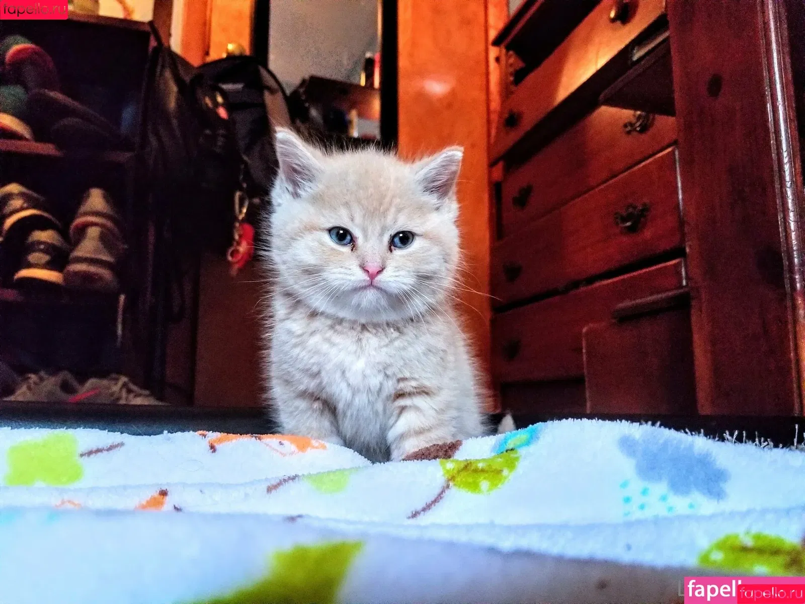 AmazingWaifu69 Onlyfans Photo Gallery 