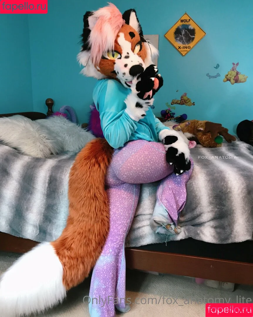 __littlefox__ Nude Onlyfans Photo 23