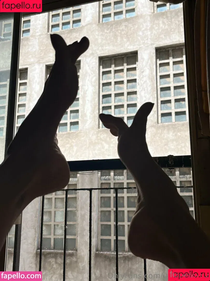 jadeeefoxxx / thejadefoxxx Onlyfans Photo Gallery 