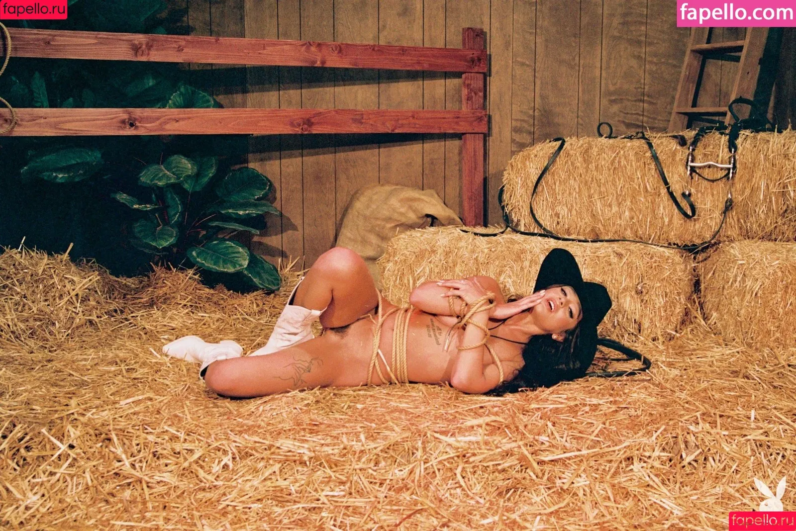 Ryan Reid / sheivkeeps / xxxforkeeps Onlyfans Photo Gallery 