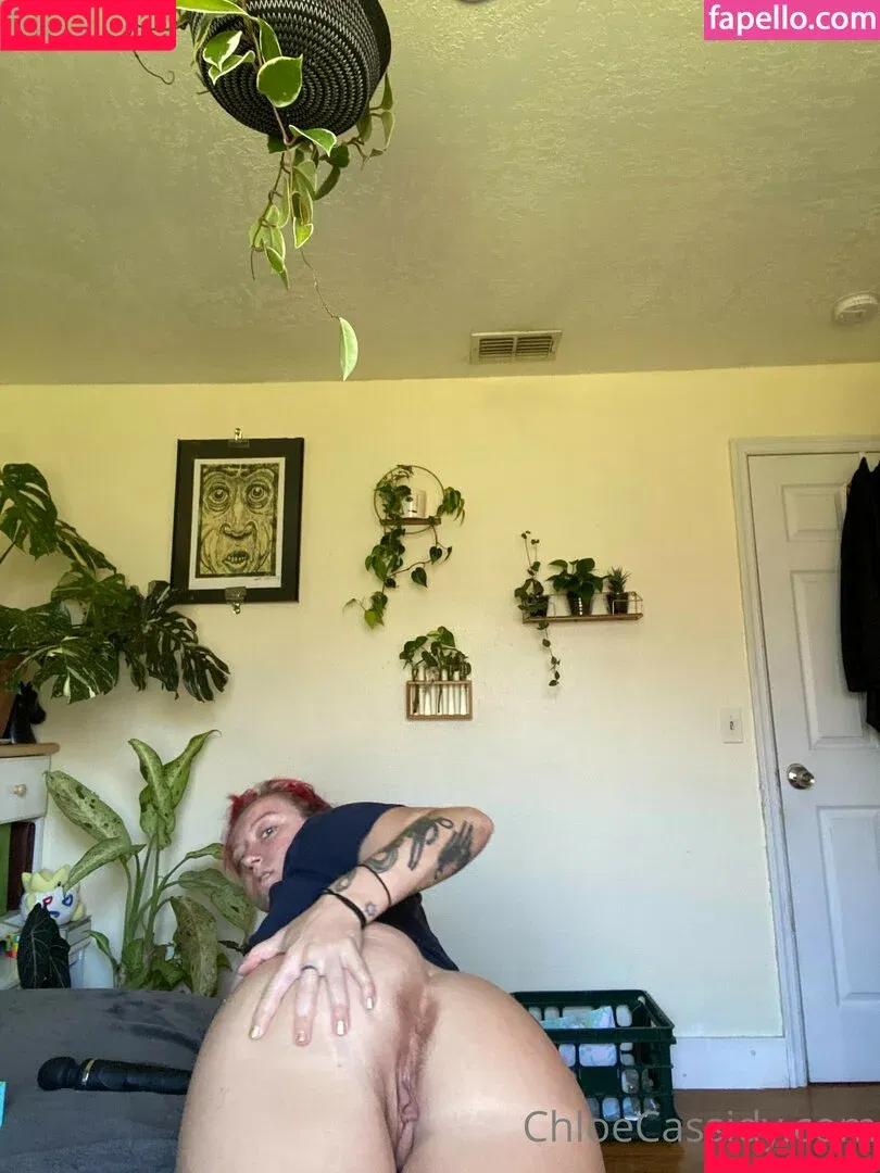 Chloe Cassidy / chloe.cassidy / https: / thechloecassidy Onlyfans Photo Gallery 