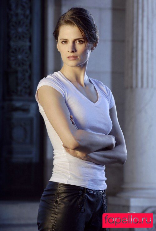 Stana Katic Nude Onlyfans Photo 34