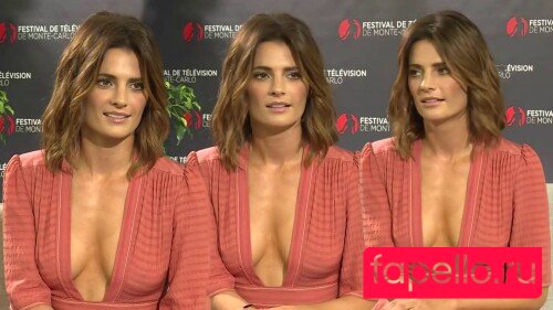 Stana Katic Nude Onlyfans Photo 26
