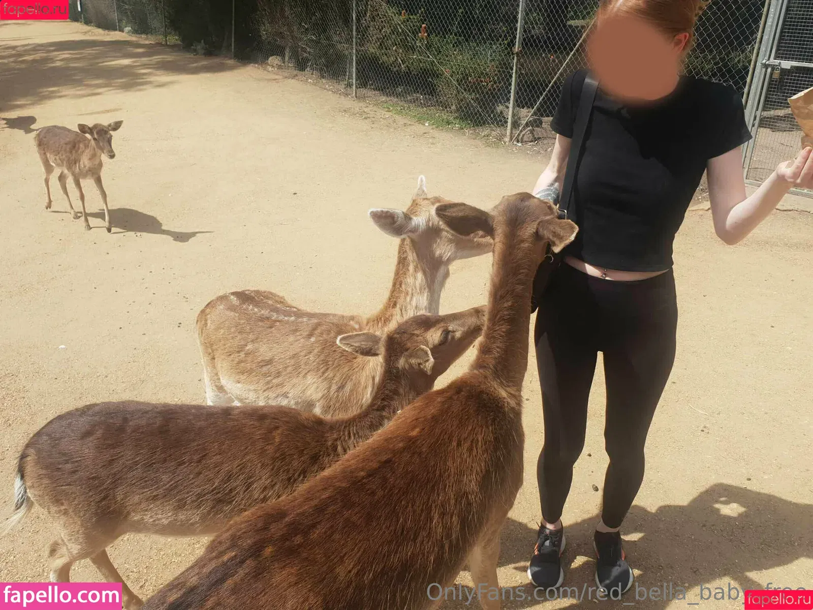 red_bella_baby_free Onlyfans Photo Gallery 