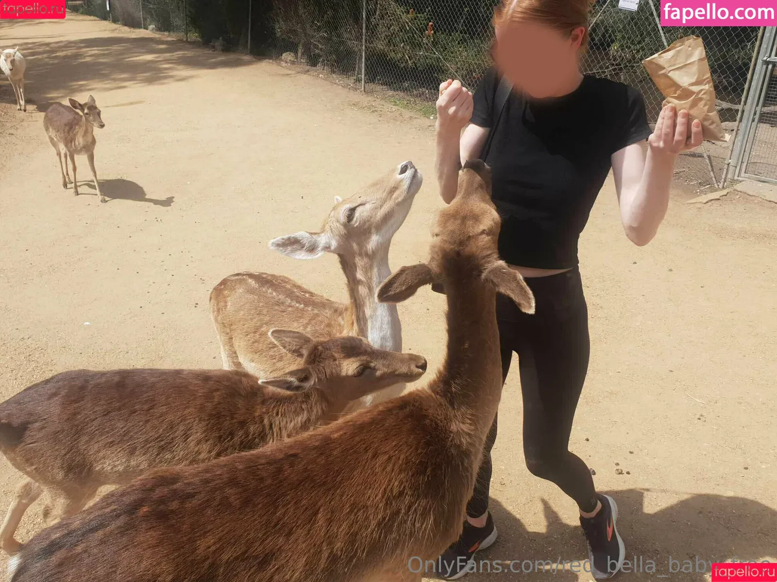 red_bella_baby_free Onlyfans Photo Gallery 