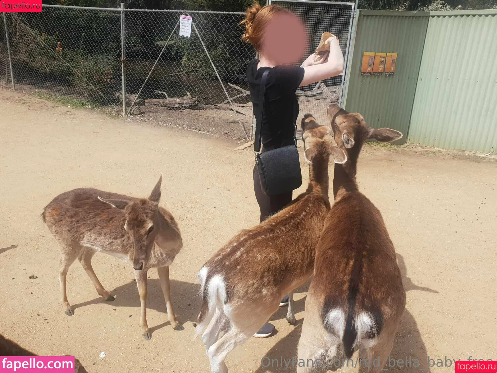 red_bella_baby_free Onlyfans Photo Gallery 