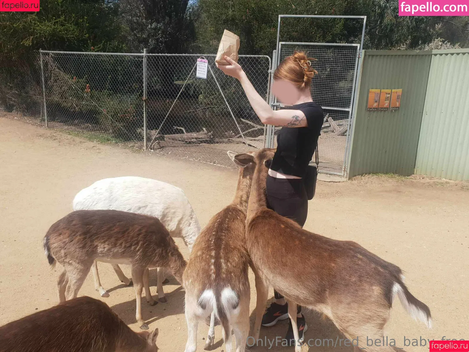 red_bella_baby_free Onlyfans Photo Gallery 