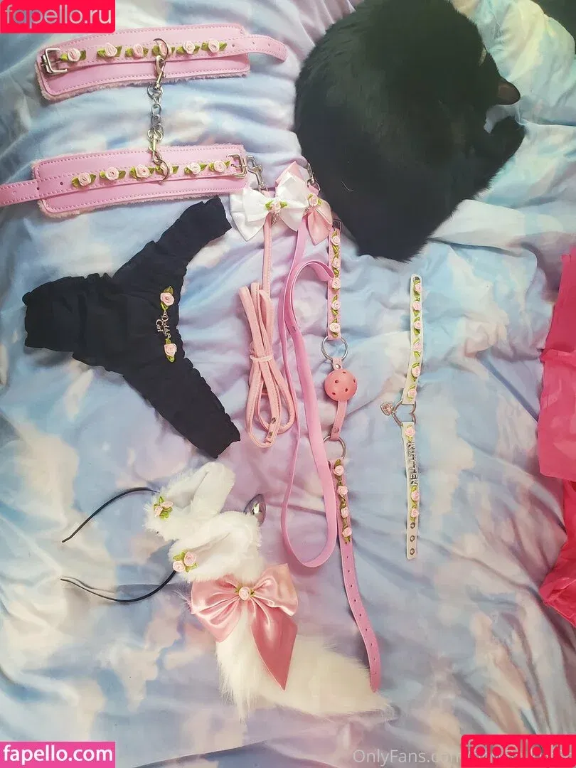 flow3r_kitt3n / littl3_flow3r_kitt3n Onlyfans Photo Gallery 