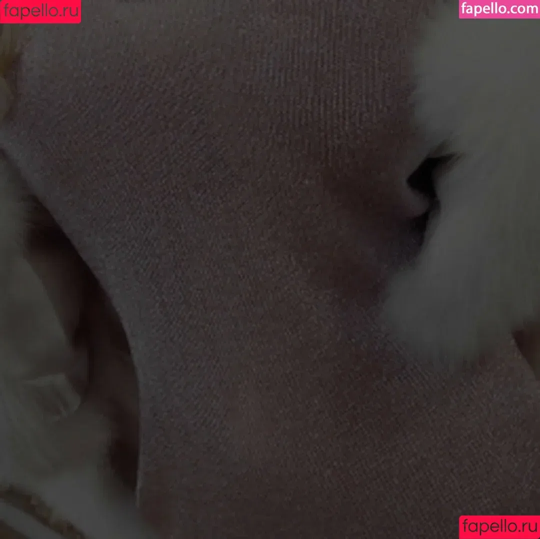 Danielle Derek / Danielledereknew / daniellederekxo Onlyfans Photo Gallery 