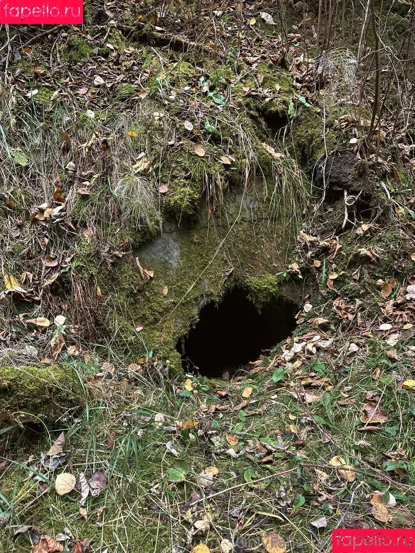 mr.snack / mrsnacktn Onlyfans Photo Gallery 