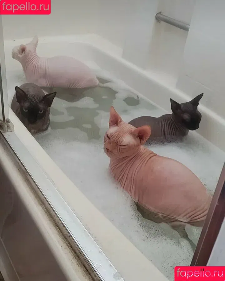 Lily Winters / lily.winters / lilywintersxxx Onlyfans Photo Gallery 