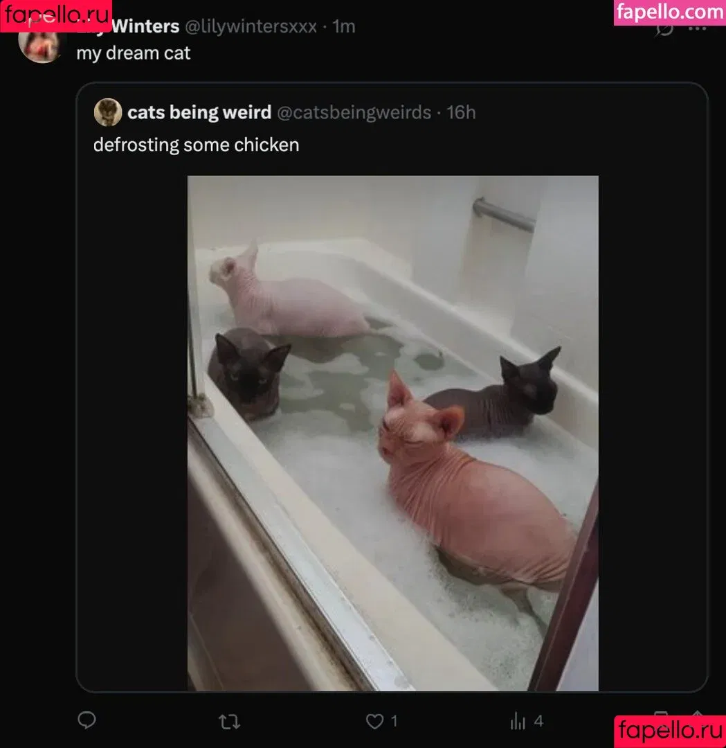 Lily Winters / lily.winters / lilywintersxxx Onlyfans Photo Gallery 