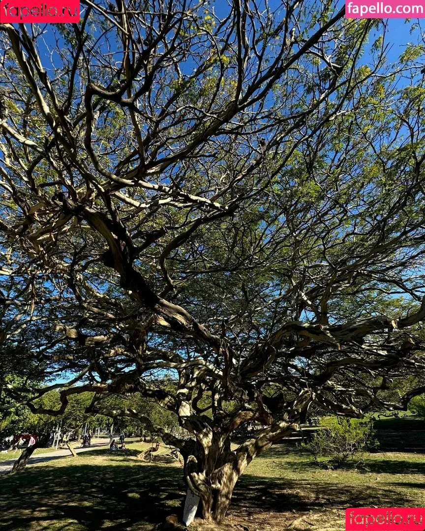 Agatha Sa / Agatha Sá / agathasa Onlyfans Photo Gallery 