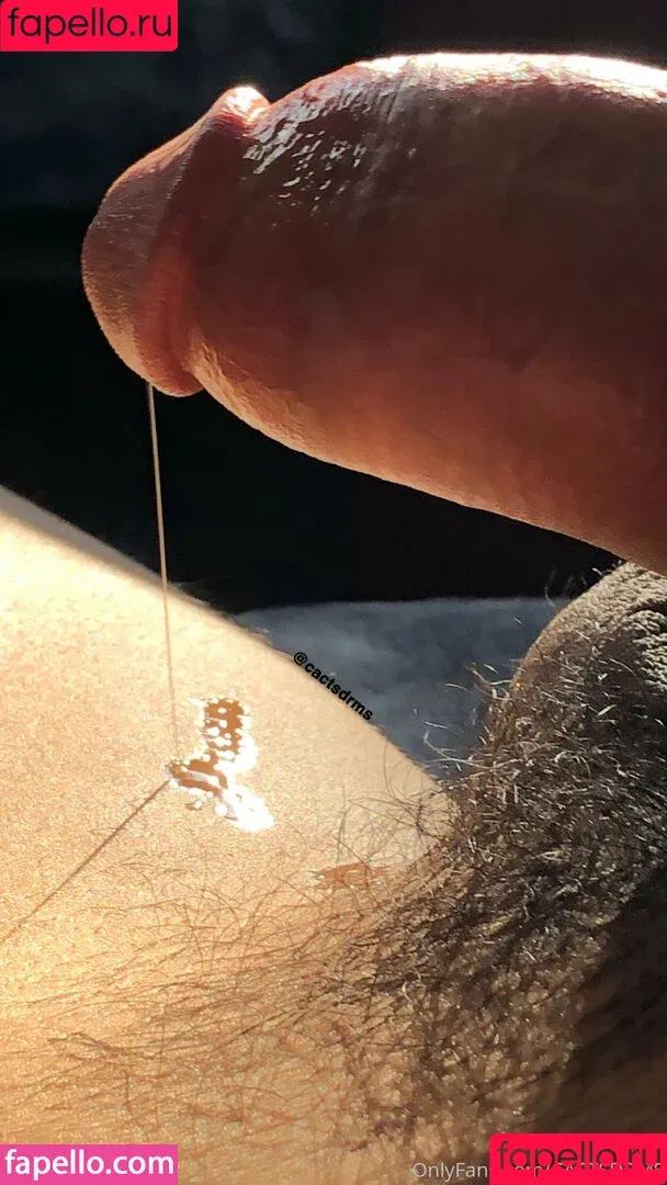 cactsdrms / xcsdfds Onlyfans Photo Gallery 