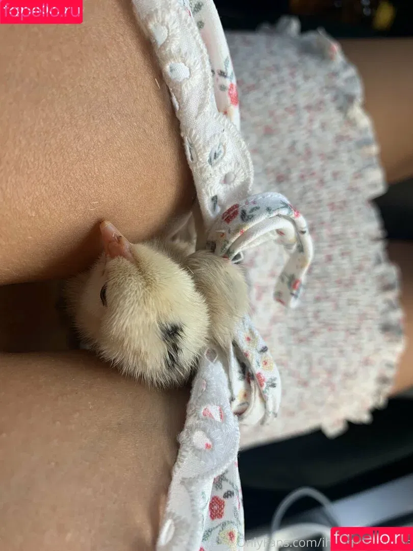 iheartlaurenlala / riskybiskeys Onlyfans Photo Gallery 