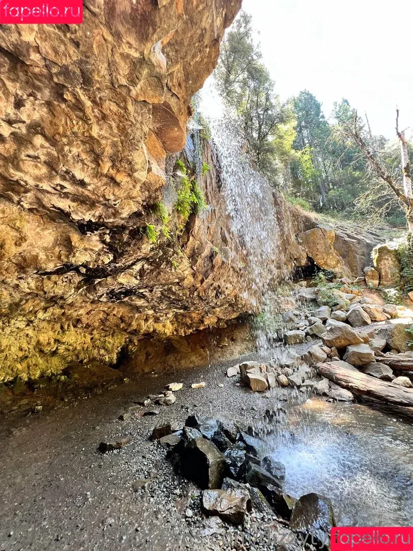 dizzytypebroad / thedizzykitten Onlyfans Photo Gallery 