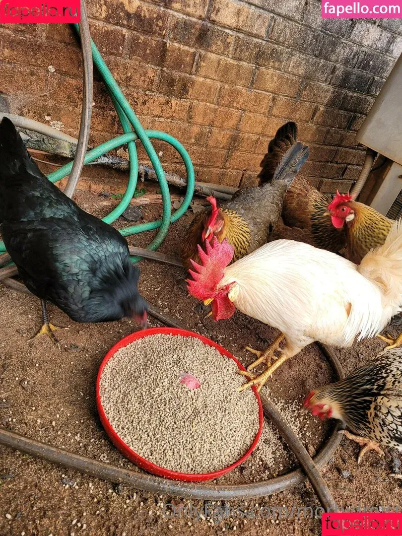 morbid_mist / morbidmist Onlyfans Photo Gallery 