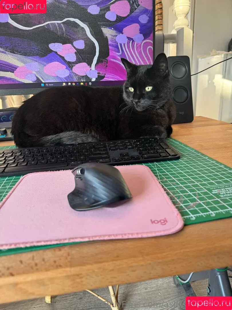 ashtonfaye_free / xoxoashtonleigh Onlyfans Photo Gallery 