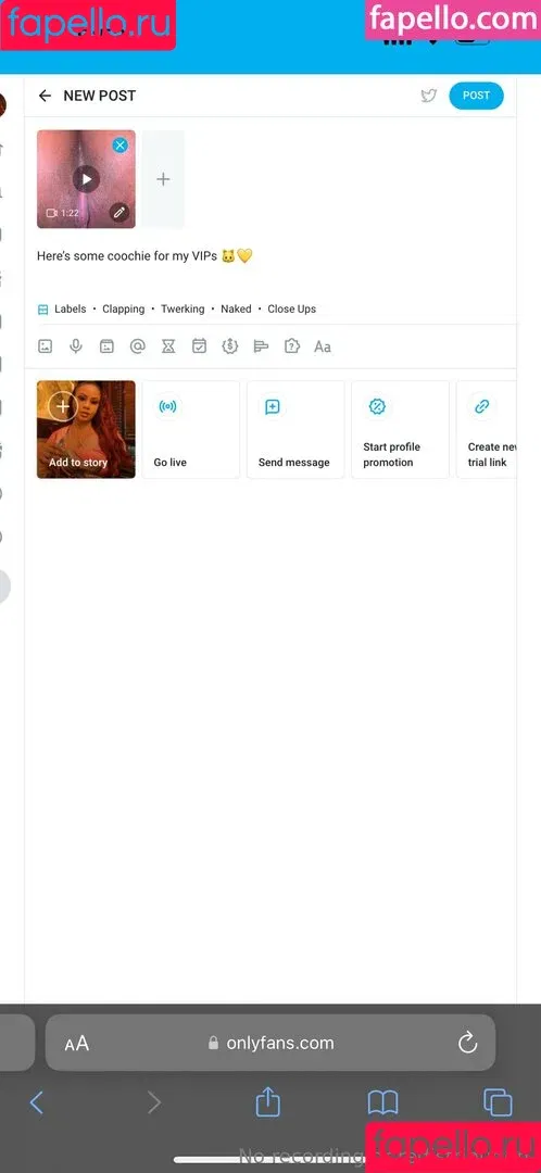 xoadventuretime / xotacaraa Onlyfans Photo Gallery 