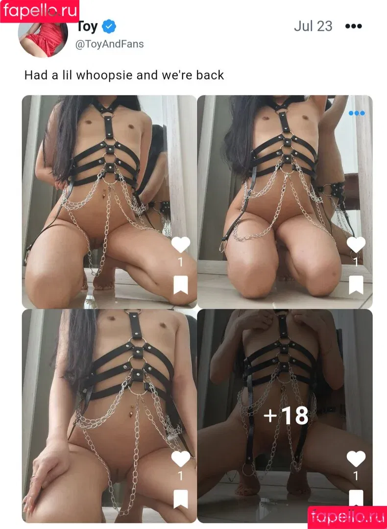 toyandfans / toyandming Onlyfans Photo Gallery 