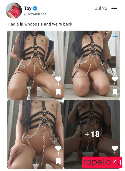 toyandfans Nude Onlyfans Photo 36
