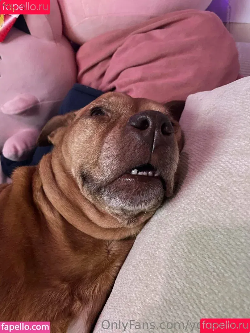 yogandub / yogendub Onlyfans Photo Gallery 