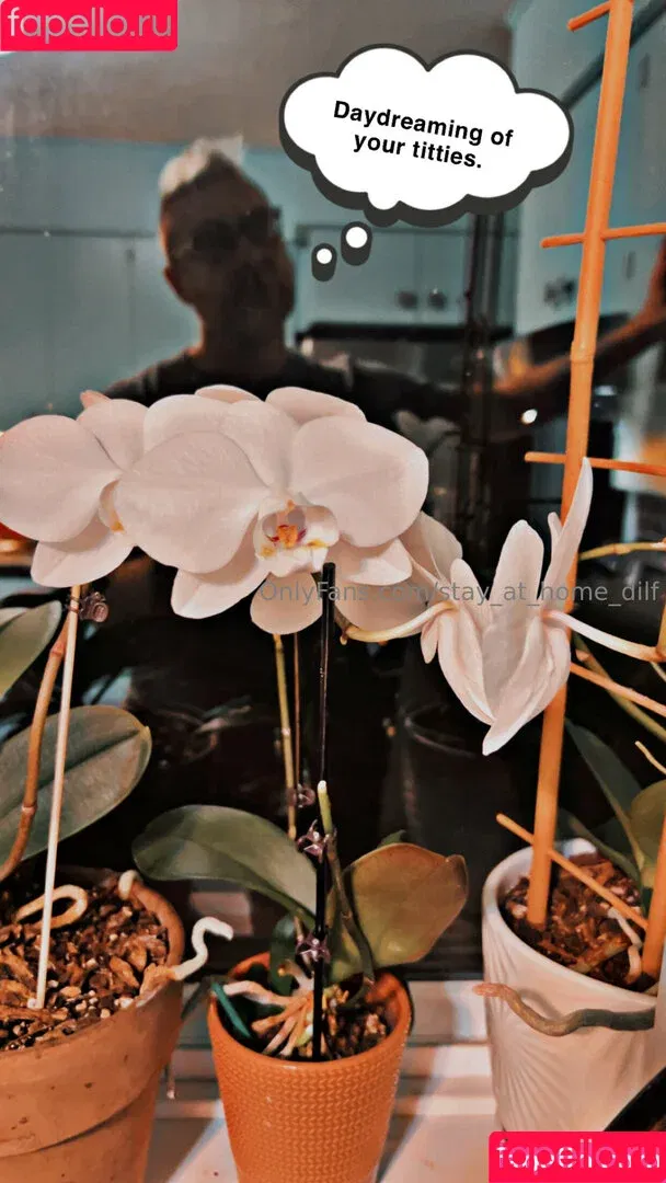 stay_at_home_dilf / stayathomedilf1 Onlyfans Photo Gallery 