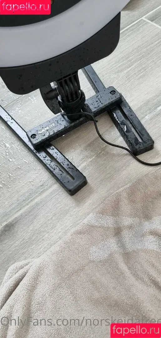 _theeprettygirl / norskeidafree Onlyfans Photo Gallery 