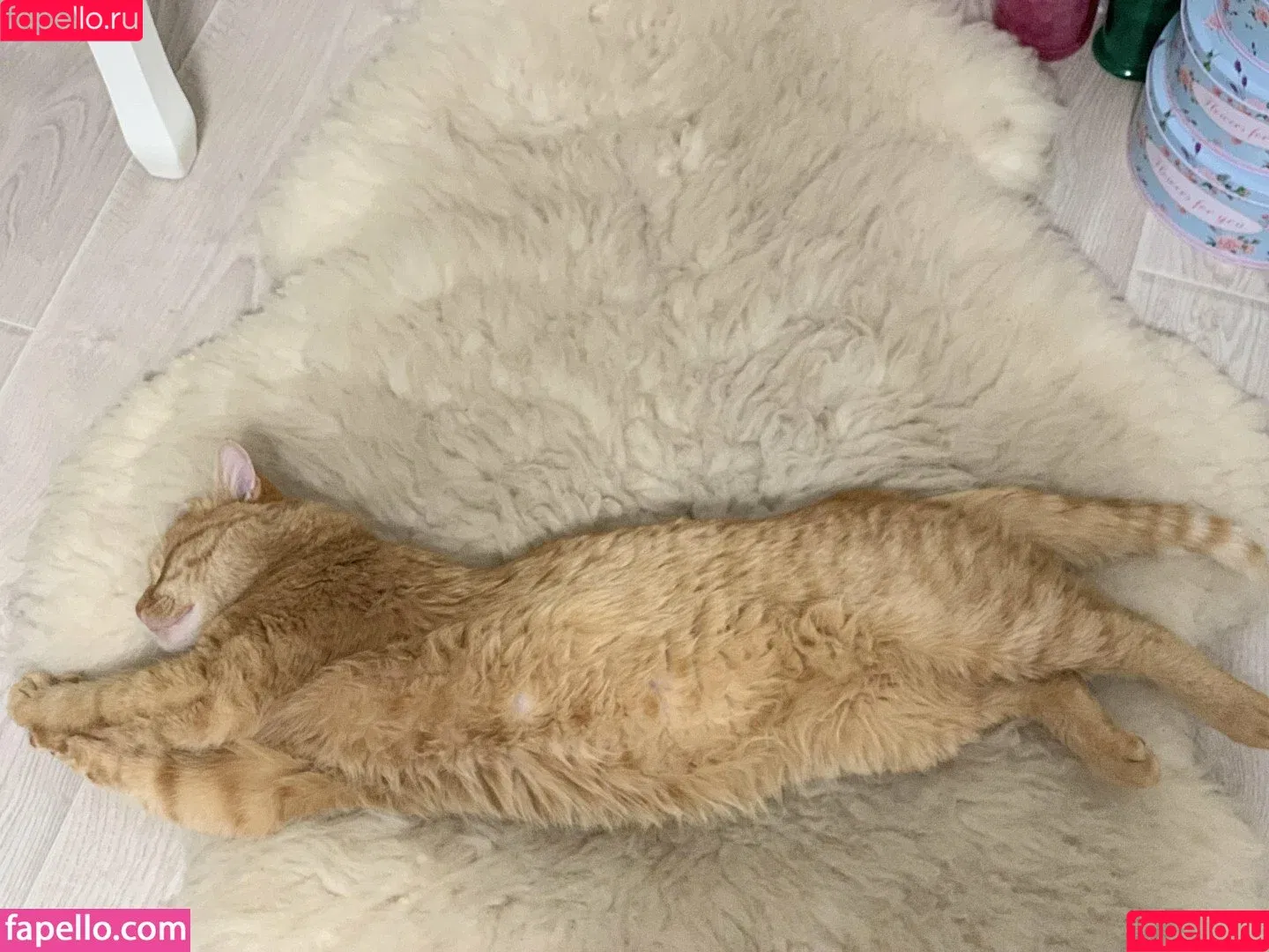 Suzanna A / Suzanna De Rose / susanna.derose / suzannaderose Onlyfans Photo Gallery 