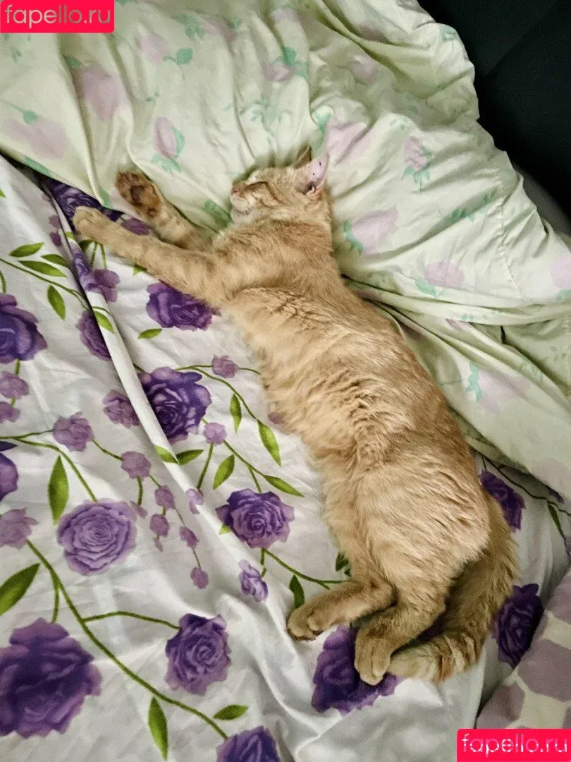 Suzanna A / Suzanna De Rose / susanna.derose / suzannaderose Onlyfans Photo Gallery 