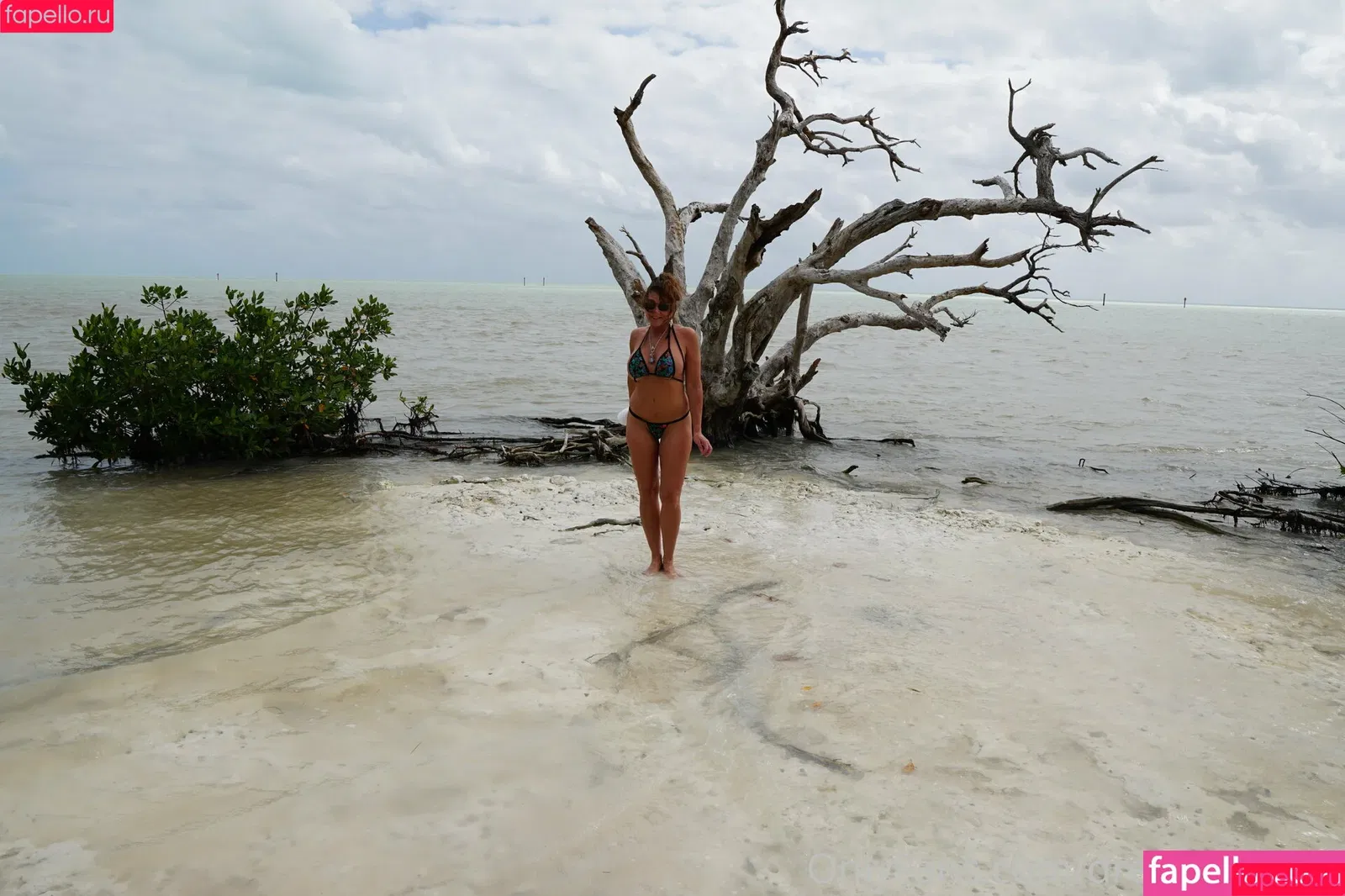 _ssweetdream_ / dreampixsxm Onlyfans Photo Gallery 