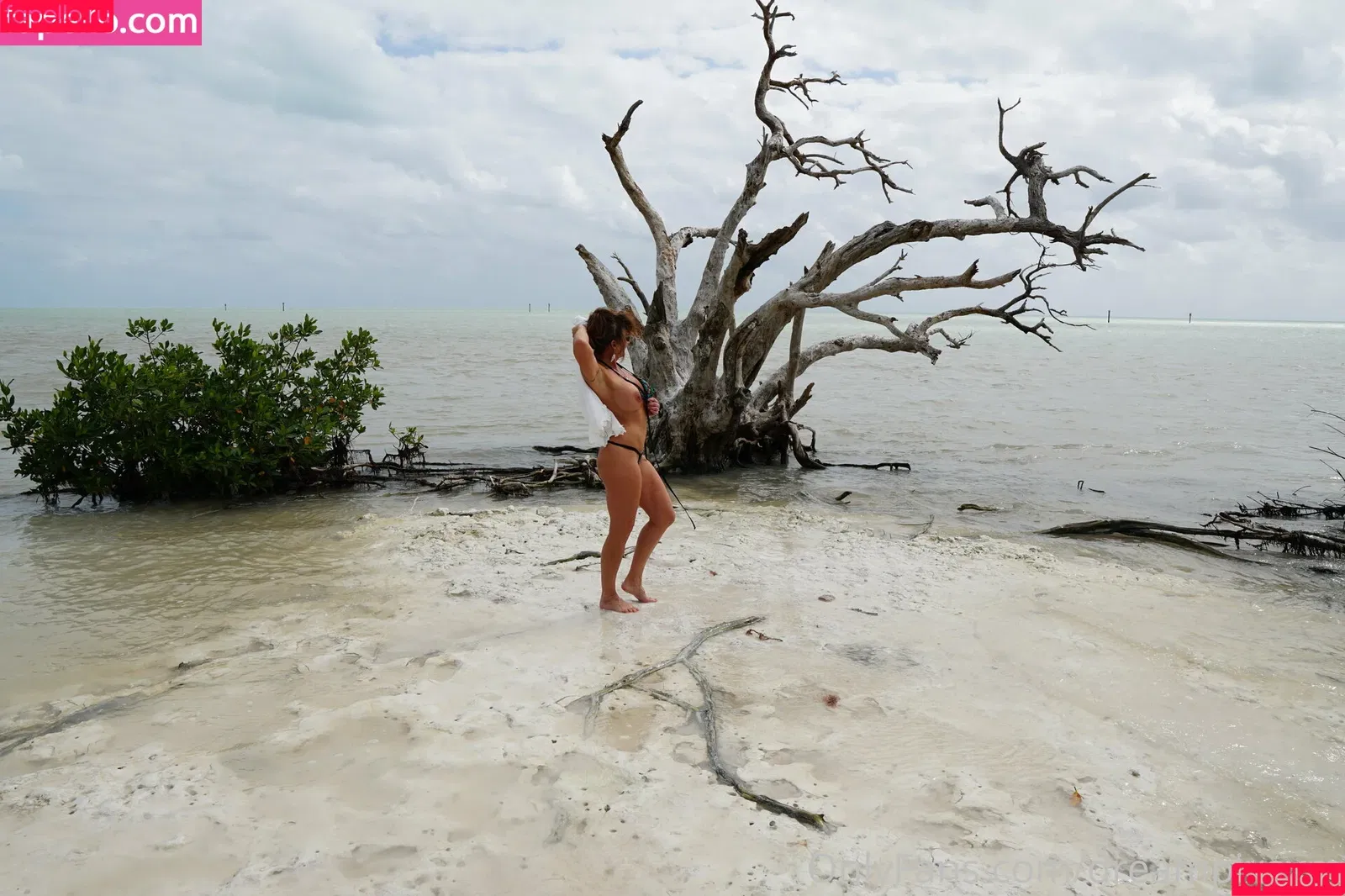 _ssweetdream_ / dreampixsxm Onlyfans Photo Gallery 